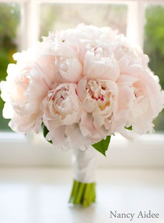 a bouquet of pink peonies in front of a window