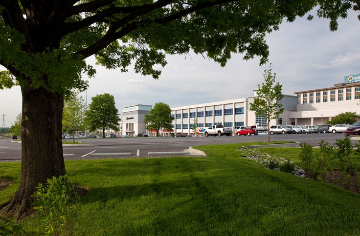 a building with cars parked in front of it on the side of a road next to a tree