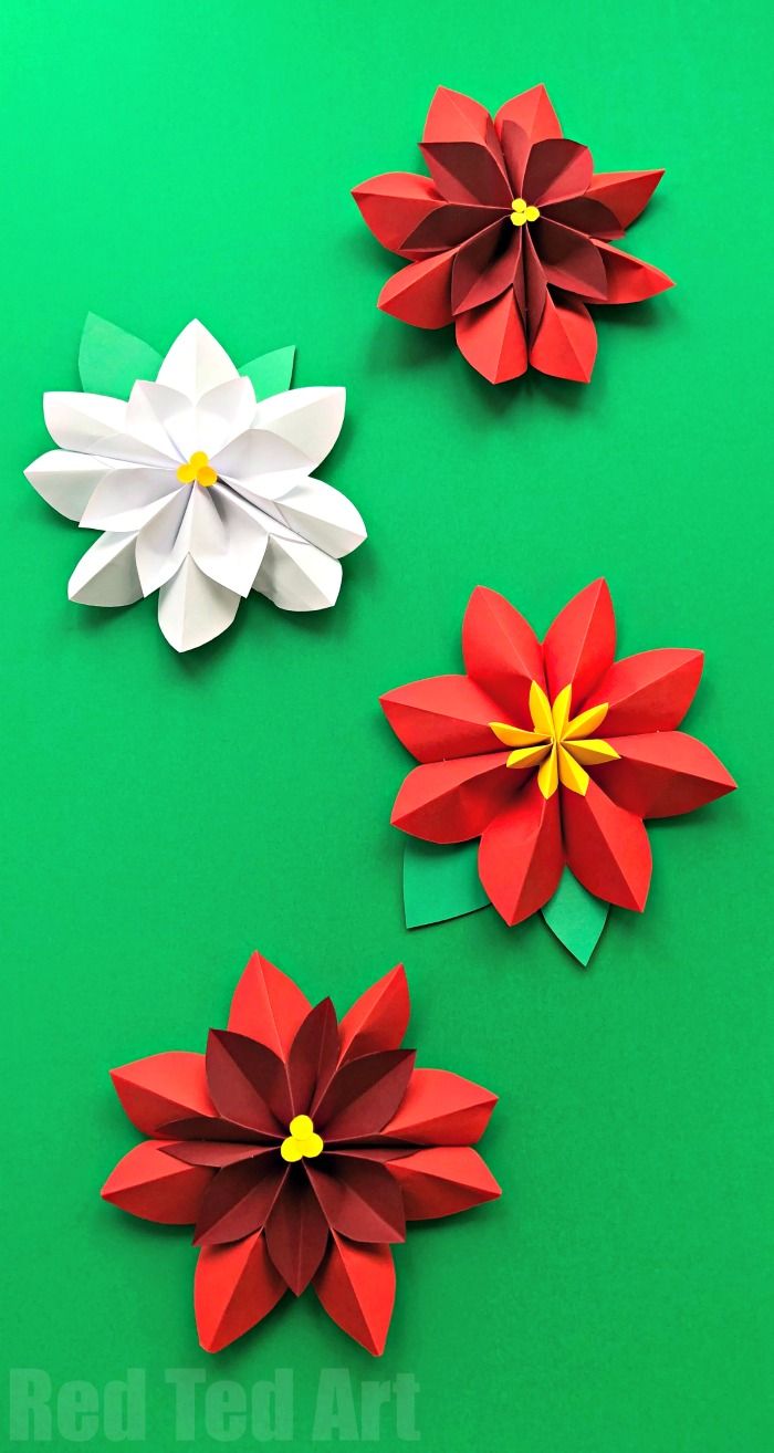 three red and white paper flowers on a green surface