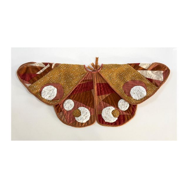 a large brown and white butterfly on a white surface with circles around it's wings