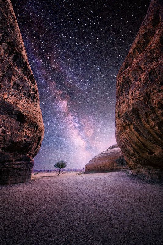 the stars are shining brightly in the sky above some large rock formations and a lone tree