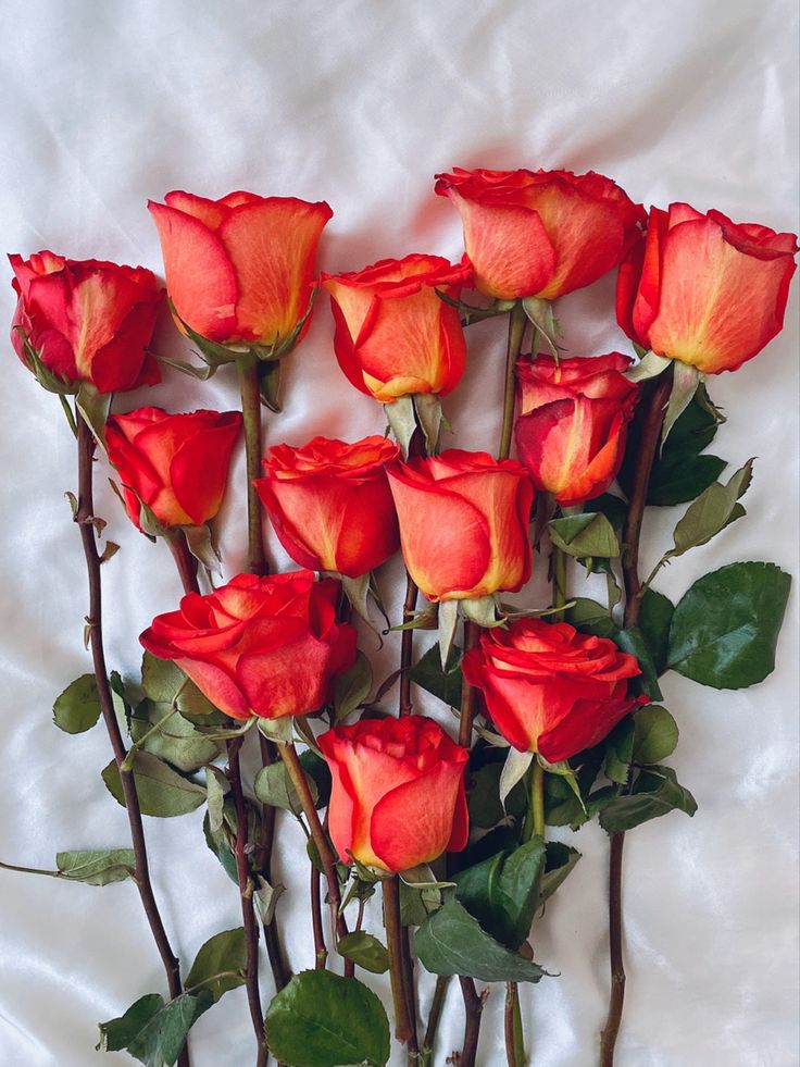 Red roses Sunset Rose Bouquet, Orange Rose Aesthetic, Aesthetic Roses Wallpaper, Orange Red Roses, Flowers Aesthetic Roses, Roses Flowers Aesthetic, Red And Orange Roses, Rose Aesthetics, Bouquet Red Roses