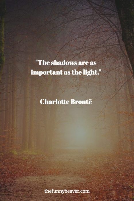 the shadows are as important as the light - charlotte bronte quote on autumn leaves