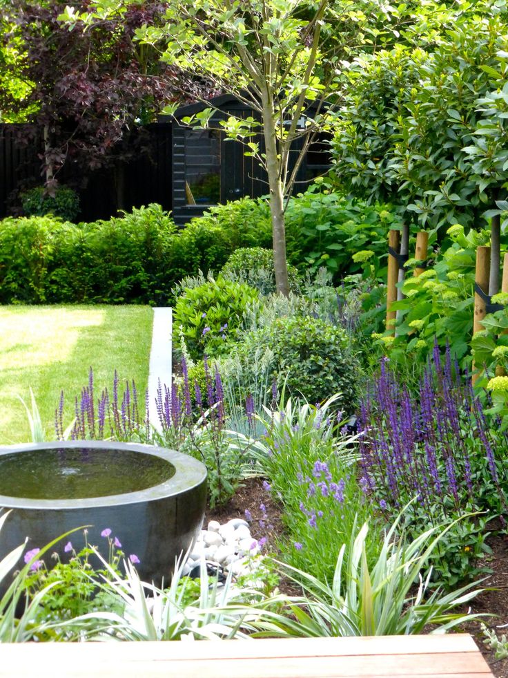 a garden filled with lots of different types of plants