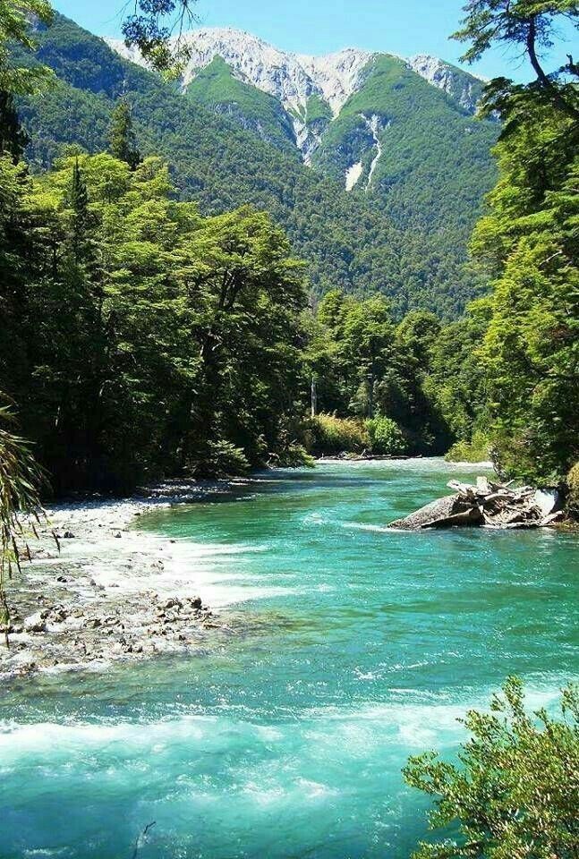 a river running through a lush green forest filled with lots of trees and mountains in the background