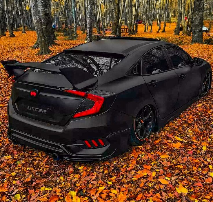 the rear end of a black car parked on top of leaves in front of trees