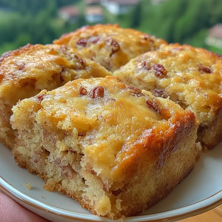 two pieces of cake on a plate being held by a person's hand in front of the camera