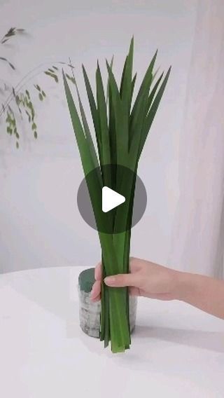 a person holding up a plant on top of a white table next to a potted plant