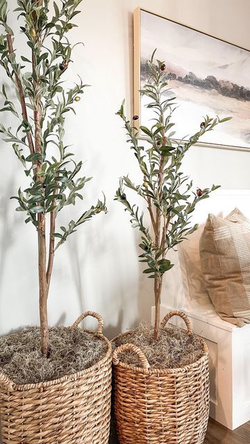 two small trees in wicker baskets next to a couch