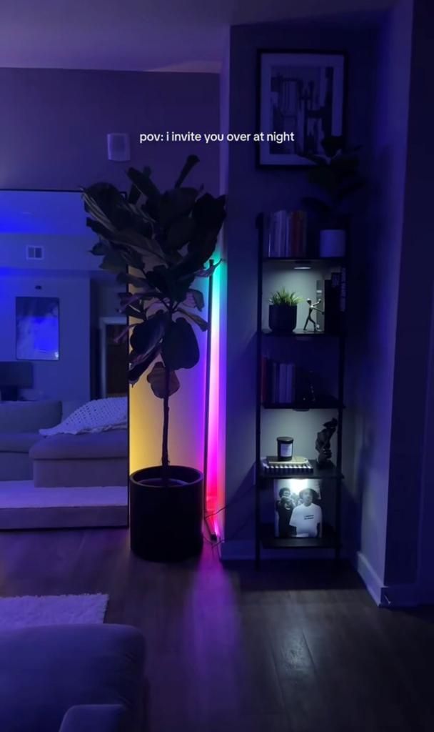 a living room filled with furniture and a plant