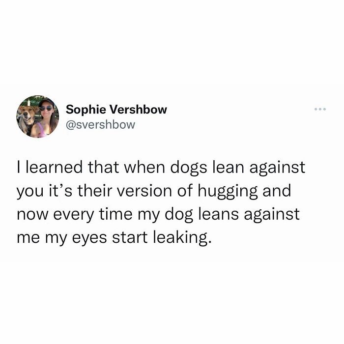 a tweet that reads, i learned that when dogs lean against you it's their version of hugging and now every time my dog learns against me