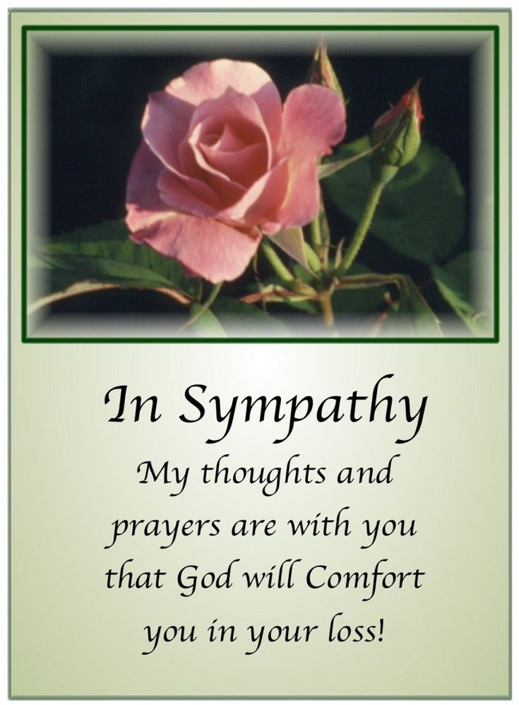 Free download Religious Sympathy Quotes 85 images in Collection Page 1 for Desktop, Mobile & Tablet. [1098x1490]. 14+ Free Sympathy Wallpaper on WallpaperSafari Condolences Messages For Loss Of Sister, Verses For Sympathy Cards, My Deepest Condolences, Bereavement Messages, Sympathy Thoughts, Sympathy Verses, Sympathy Card Sayings, Condolences Quotes, In Sympathy