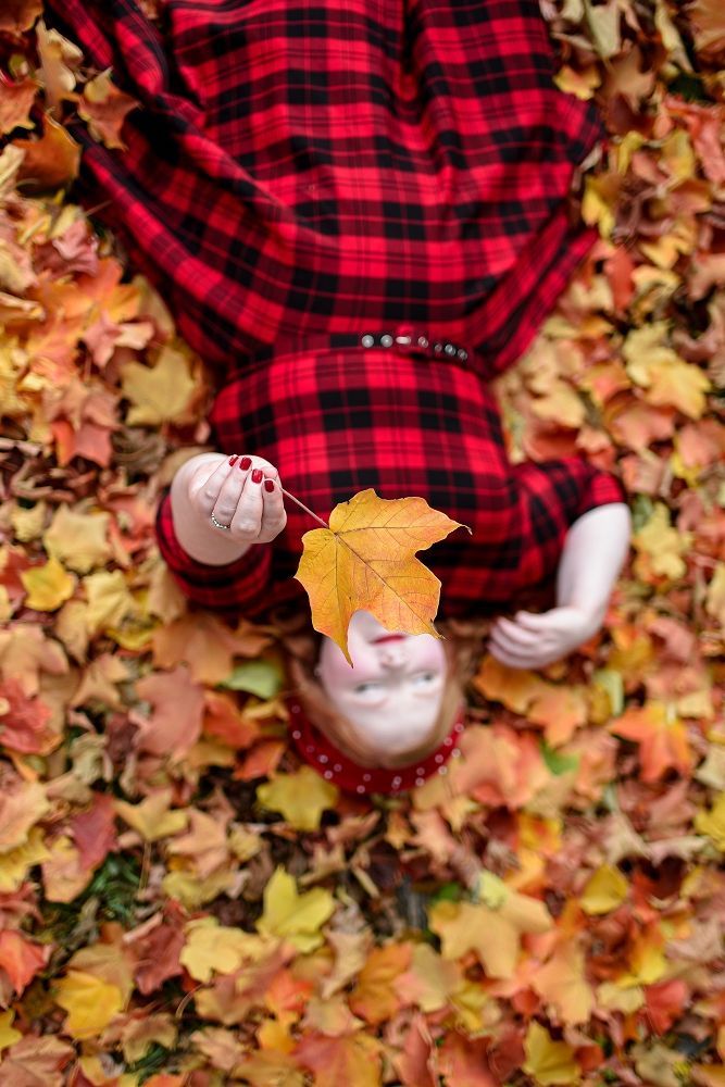 an overhead view of a baby doll laying on the ground surrounded by leaves and autumn colors