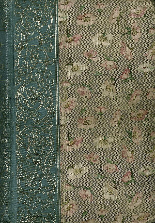 an old book with flowers on it and a blue border around the cover that has gold trim