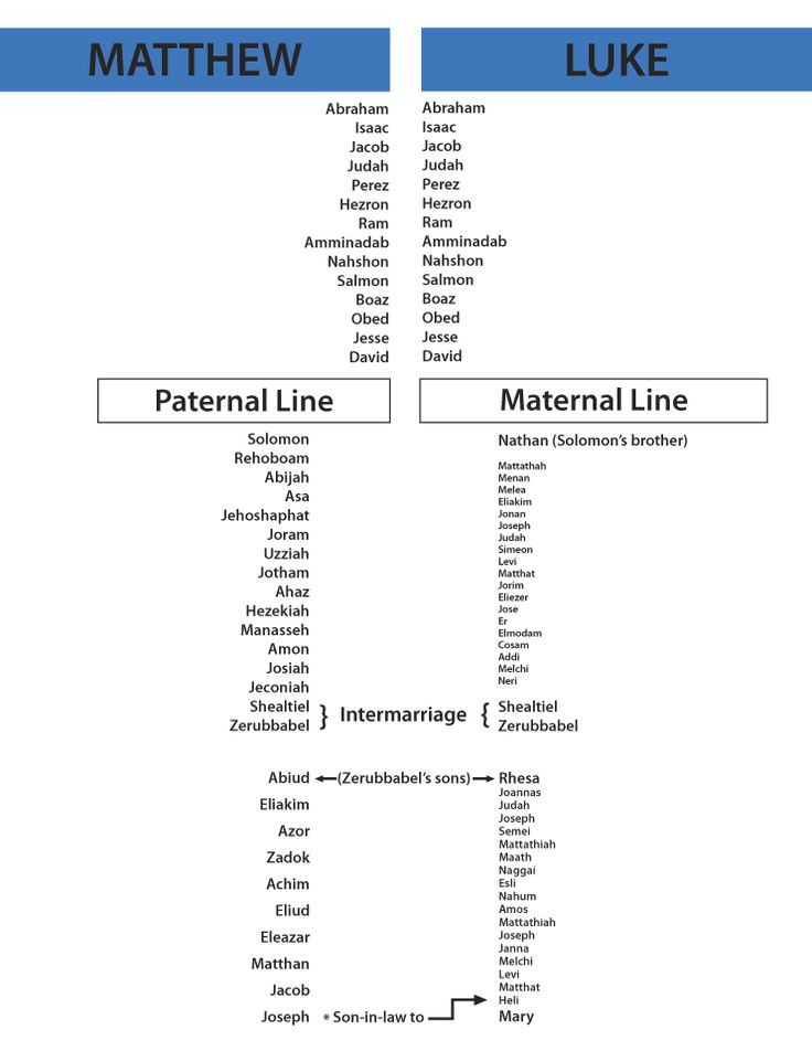 two lines that are labeled in different languages, with the words'material line'and'material line '