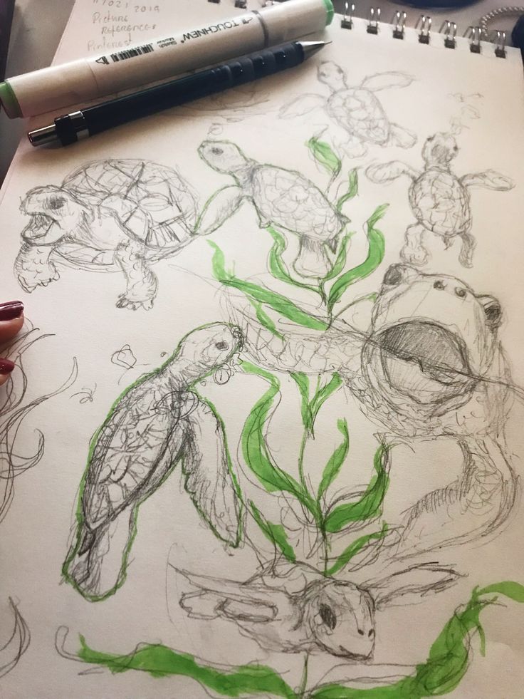 a drawing of turtles and flowers on paper