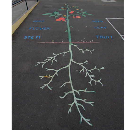 a chalk drawing of a tree with leaves and flowers on the pavement in front of a parking lot