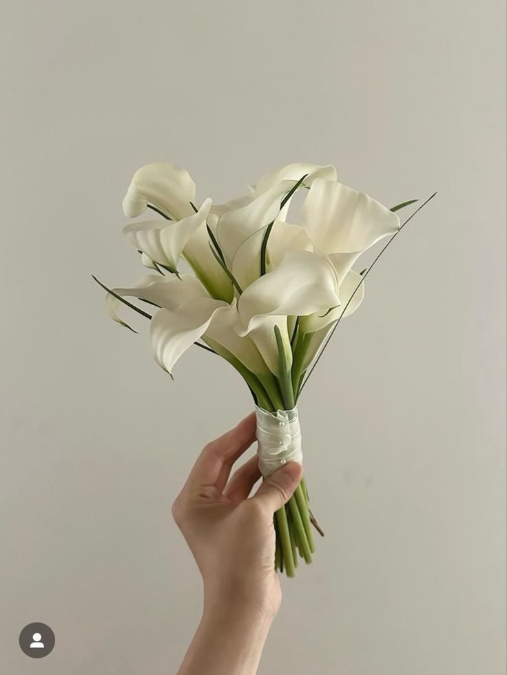 a hand holding a bouquet of white flowers