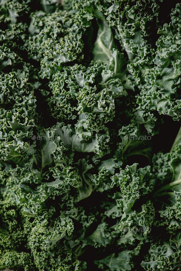 a close up view of some green vegetables