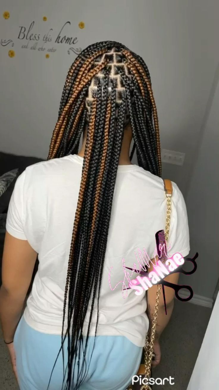 Pika Boo Knotless Braids, Box Braids With Streaks Of Color, Two Tone Knotless Box Braids, 2 Tone Box Braids, Black Box Braids With Brown Highlights, Color Braid Ideas, Peka Boo Braids Color, Black And Brown Box Braids, Medium Knotless Braids With Color