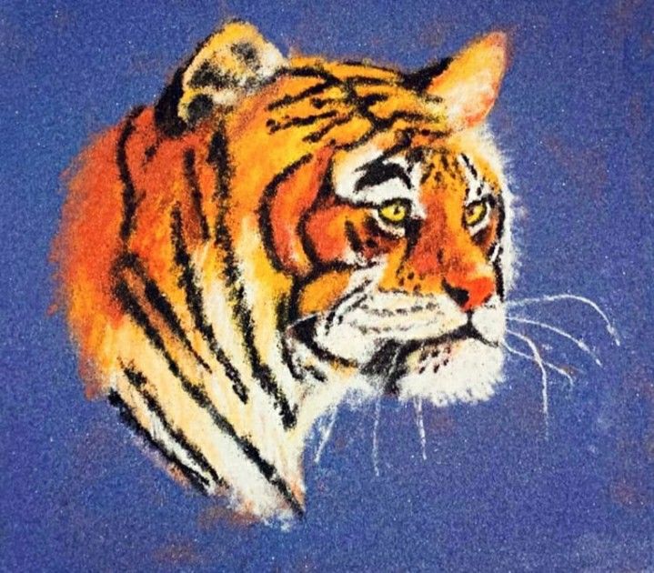 a drawing of a tiger on a blue background