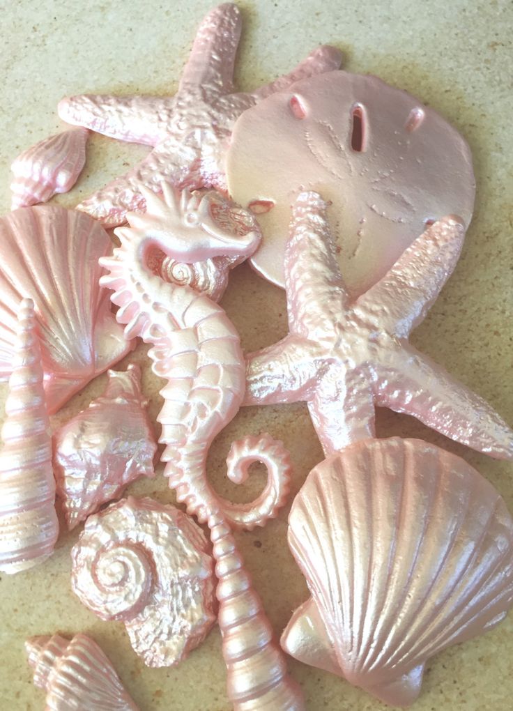 seahorses, shells and seashells are laying on the floor