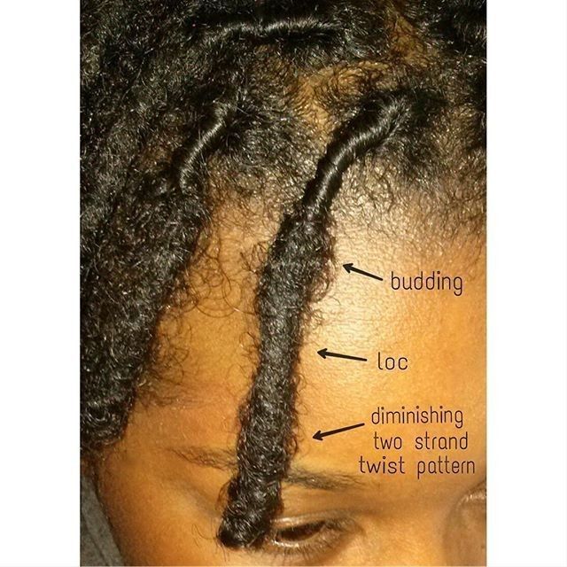 Loc Budding Stage, Style Starter Locs, Stages Of Locs, Hair Journey Growth, How To Start Dreadlocks, Styles Locs, Dreads Short Hair, Dreadlocks Hair Care, Short Dreadlocks Styles