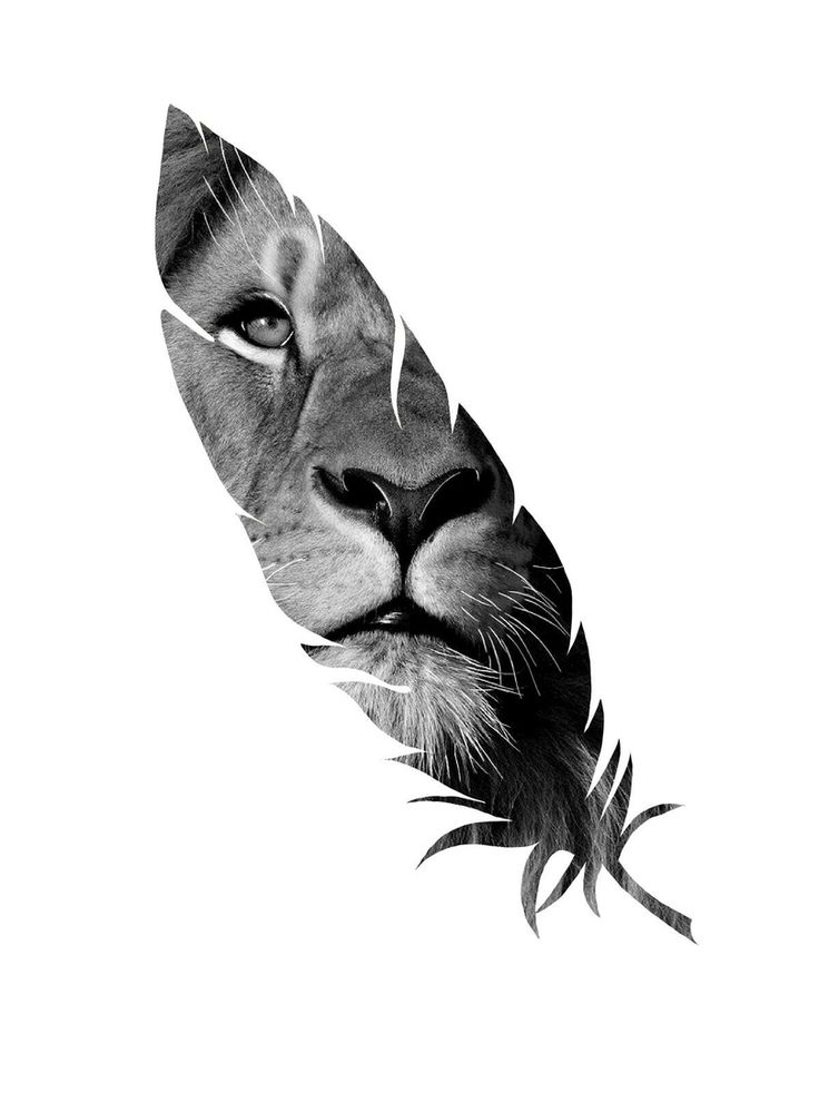 a black and white photo of a lion's face with a feather on it