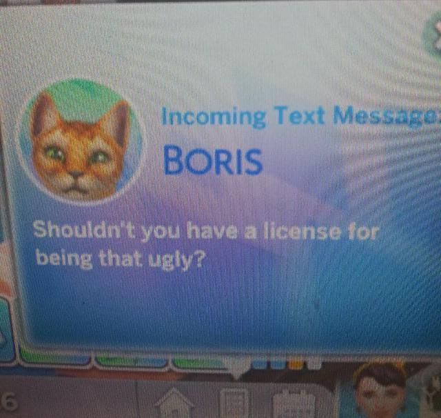 a computer screen with an image of a cat on it's face and the text boris