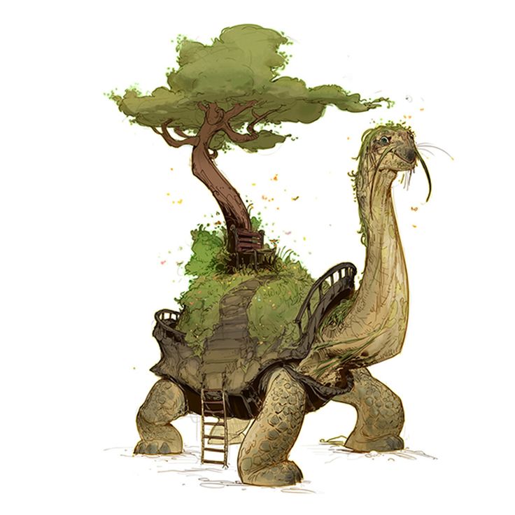 a drawing of a turtle with a tree on its back and ladder to the top