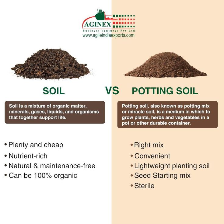 soil versus potting soil info poster with two different types of soil and their uses