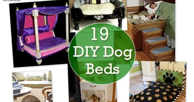 there are many different types of diy dog beds in this collage with the words, 19 diy dog beds