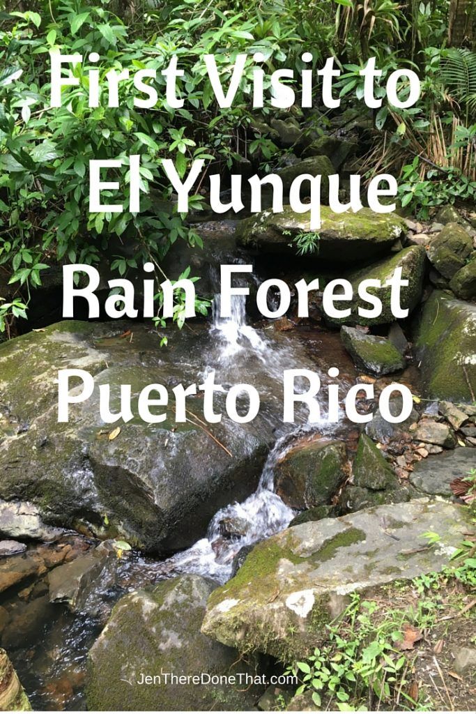 a river running through a lush green forest filled with rocks and greenery text reads first visit to etungue rain forest puerto rico