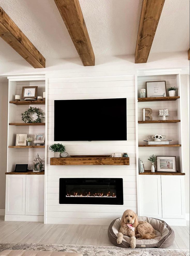 a dog is sitting in his bed and watching the television on the wall behind him