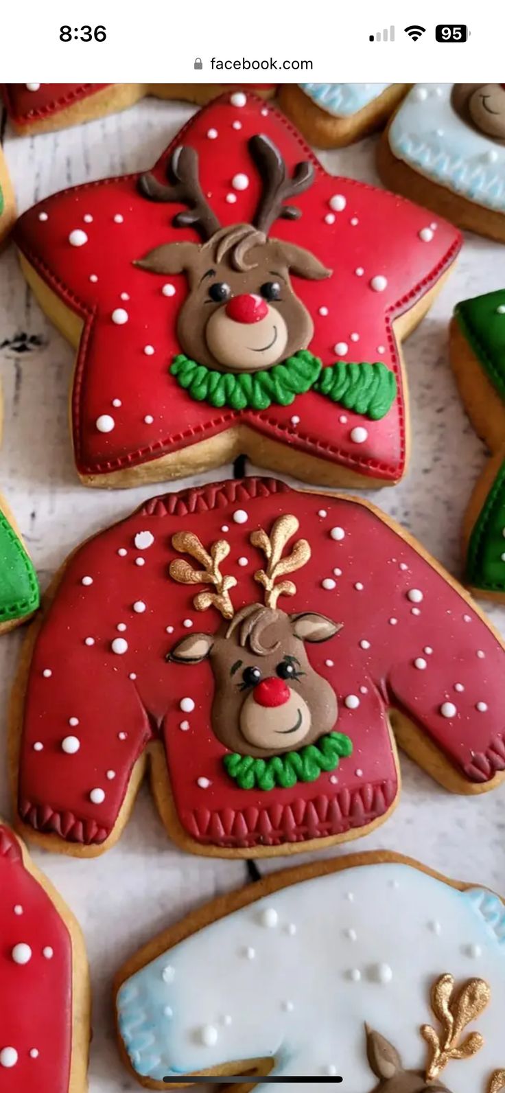 decorated christmas cookies with reindeers and sweaters on them are displayed in front of the camera