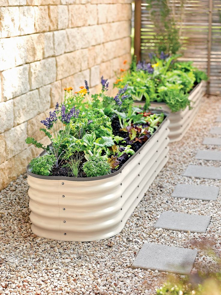 a row of garden plants sitting on top of a stone floor next to a brick wall