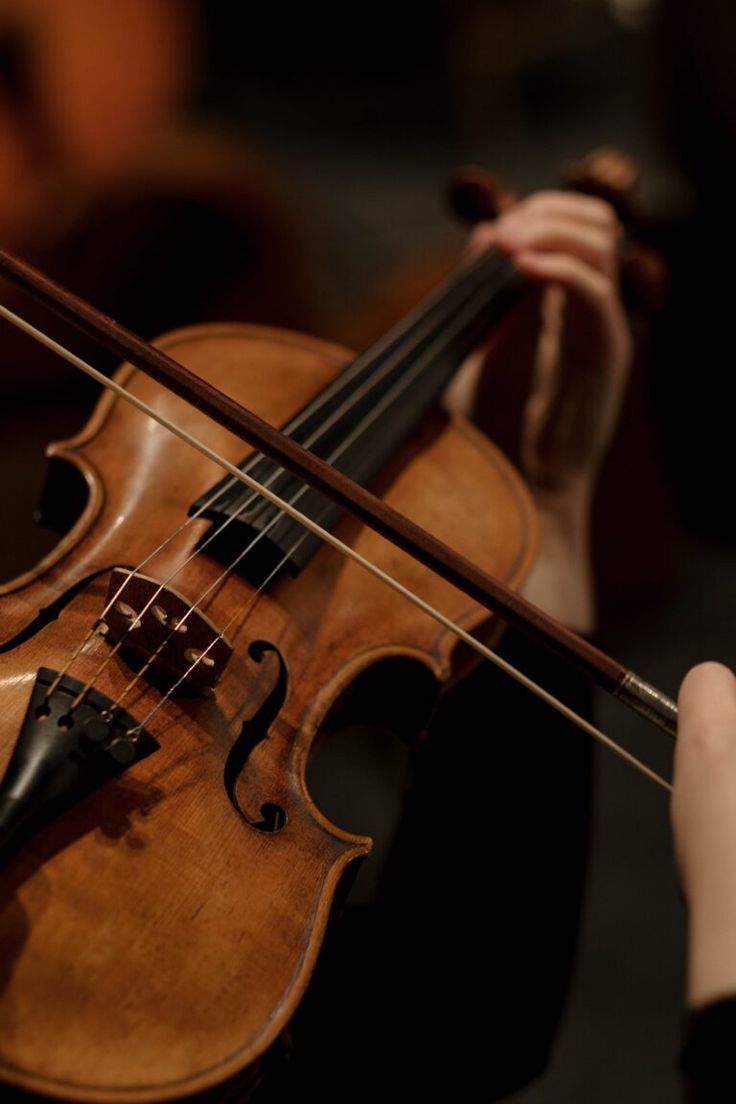 a person holding a violin in their right hand