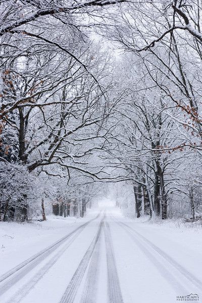 a snow covered road surrounded by trees