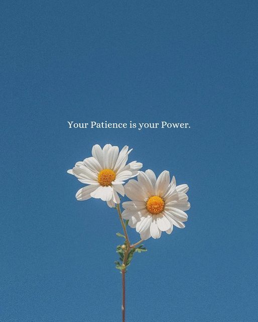 two white daisies in front of a blue sky with the words, your patient is your power