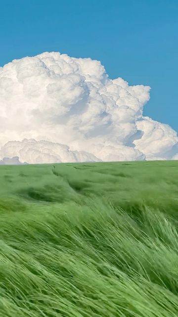 a large cloud is in the sky over a green field