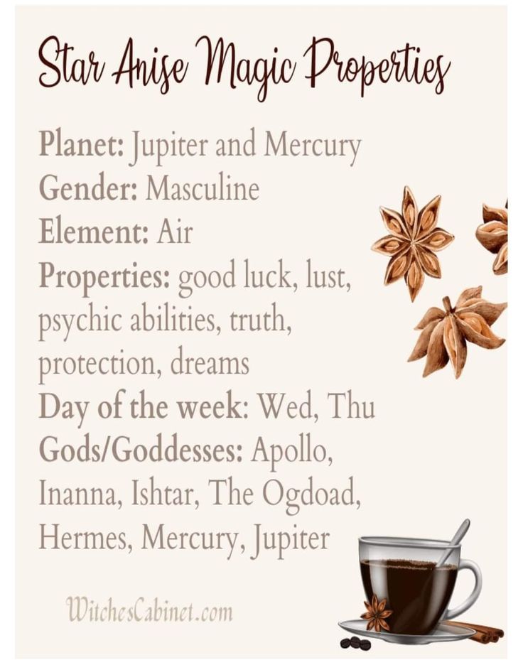 Anise Star Recipes, Star Anise Witchcraft, Star Anise Tea Benefits, Star Anise Magical Properties, Star Anise Benefits, Abundance Jar, Earth Altar, Witchy Plants, Herb Crafts