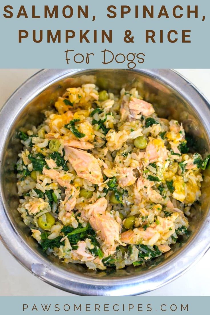 salmon, spinach, pumpkin and rice for dogs in a bowl with title text