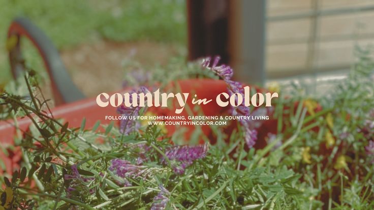 country in color