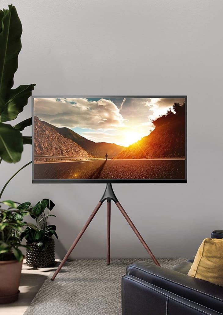 a flat screen tv sitting on top of a tripod in a living room next to a potted plant