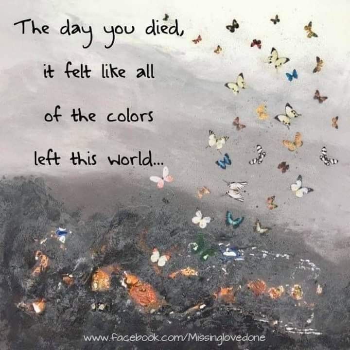 the day you died, it felt like all of the colors left this world