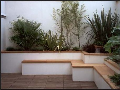 an outdoor area with plants and steps leading up to the top floor, in front of a white wall