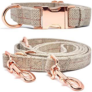 a dog collar and leash set with rose gold hardware