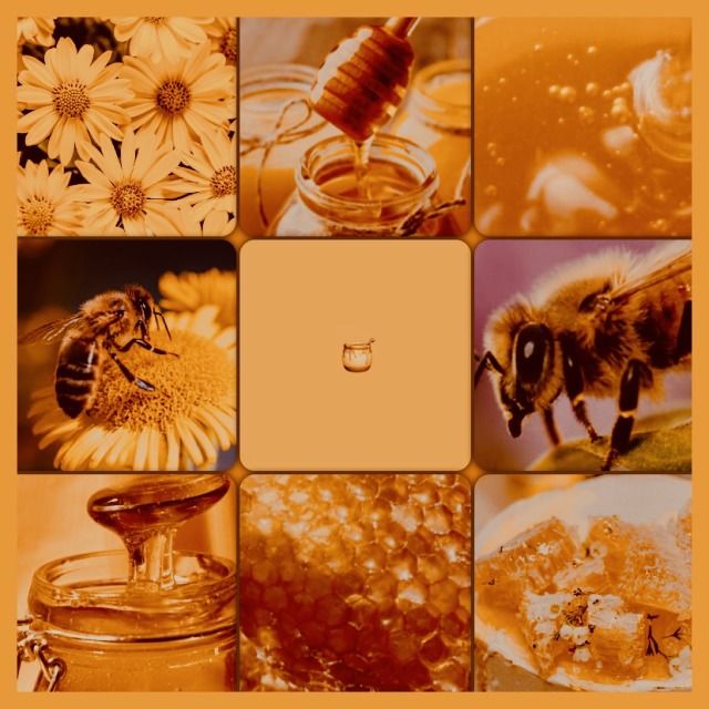 bees and honeycombs collaged together in an orange background