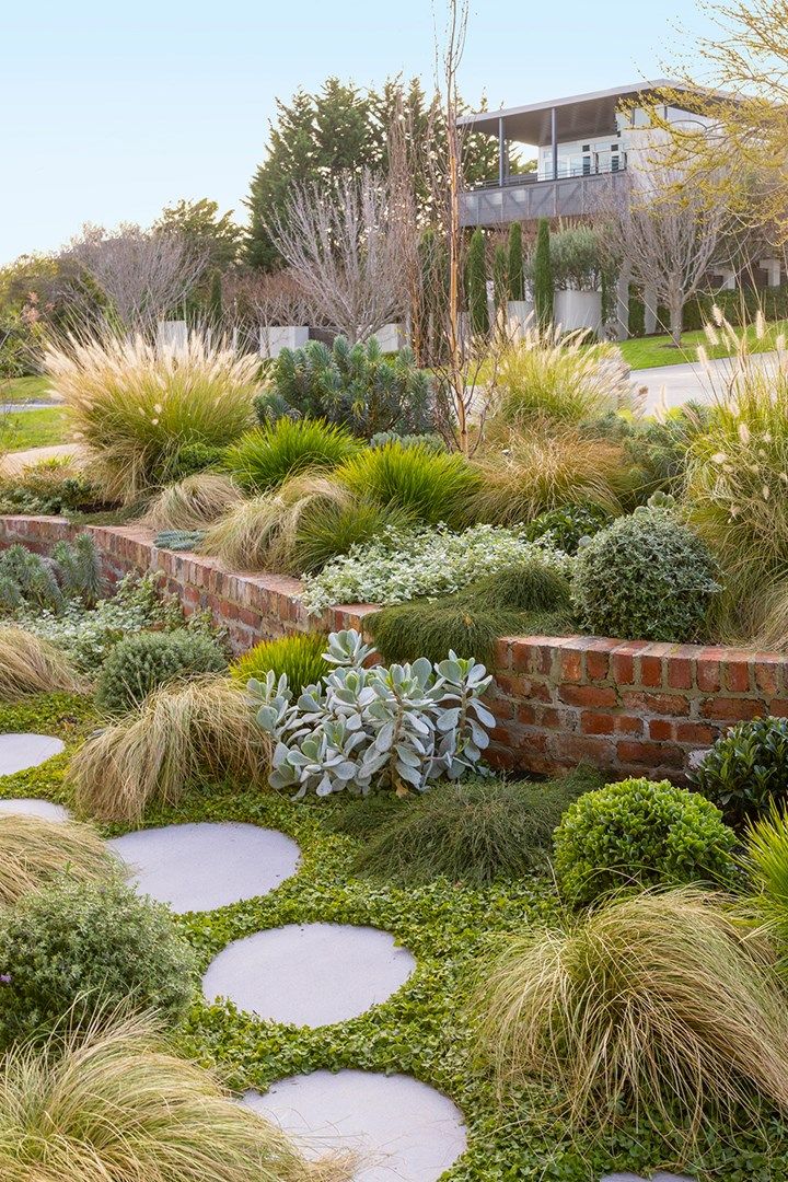 an outdoor garden with stepping stones and grass