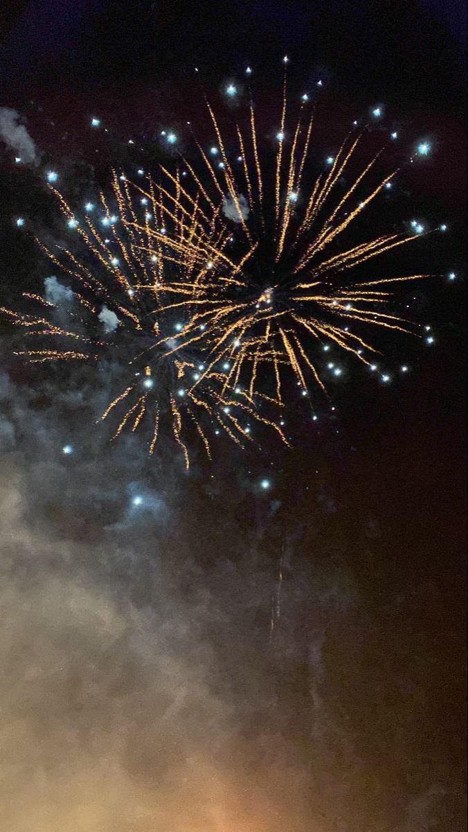 fireworks are lit up in the night sky